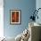 Gladiola-John Seba-Framed Premium Giclee Print displayed on a wall