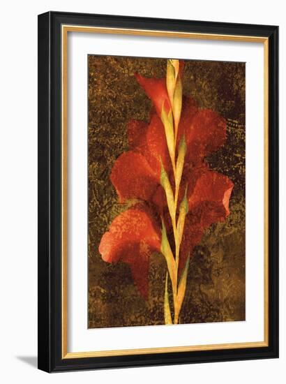 Gladiola-John Seba-Framed Premium Giclee Print