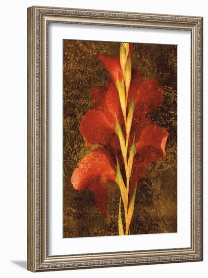 Gladiola-John Seba-Framed Art Print