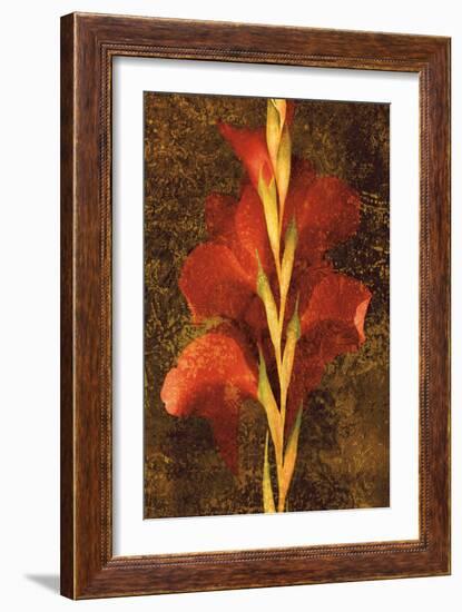 Gladiola-John Seba-Framed Art Print