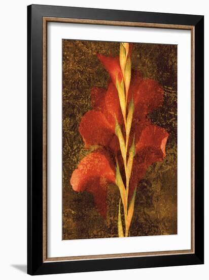 Gladiola-John Seba-Framed Art Print