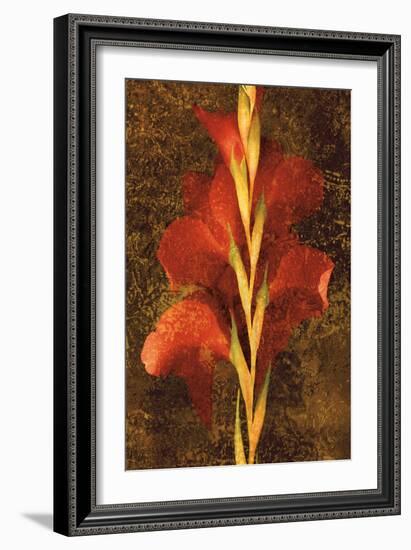 Gladiola-John Seba-Framed Art Print