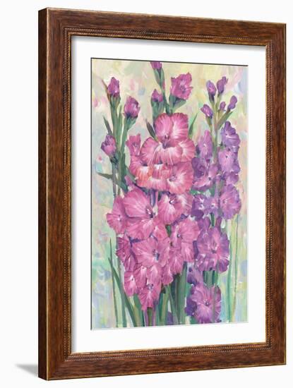 Gladiolas Blooming I-Tim OToole-Framed Premium Giclee Print