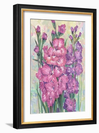 Gladiolas Blooming I-Tim OToole-Framed Premium Giclee Print