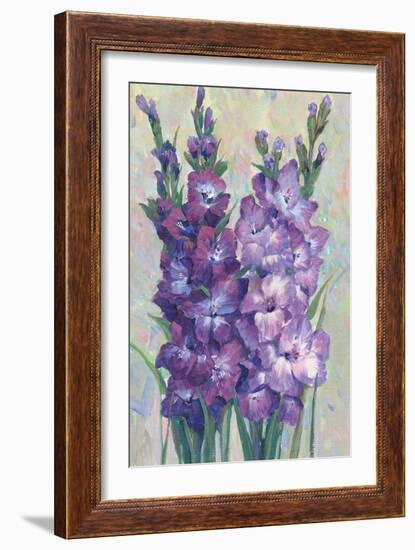 Gladiolas Blooming II-Tim OToole-Framed Premium Giclee Print