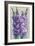 Gladiolas Blooming II-Tim OToole-Framed Premium Giclee Print