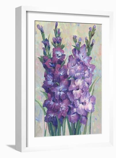 Gladiolas Blooming II-Tim OToole-Framed Premium Giclee Print