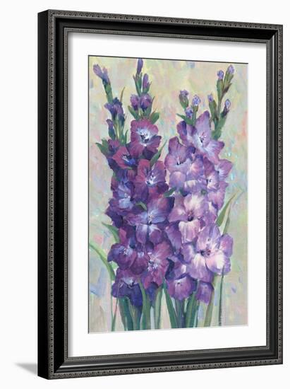 Gladiolas Blooming II-Tim OToole-Framed Art Print