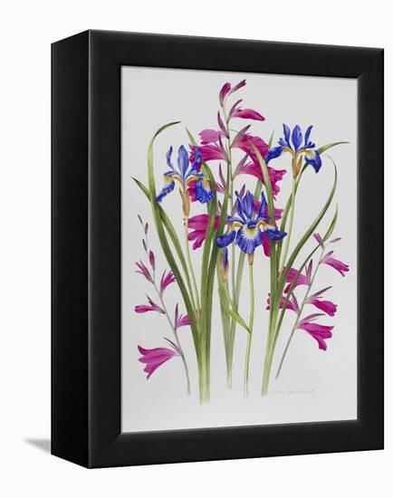 Gladiolus and Iris Sibirica-Sally Crosthwaite-Framed Premier Image Canvas