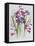 Gladiolus and Iris Sibirica-Sally Crosthwaite-Framed Premier Image Canvas