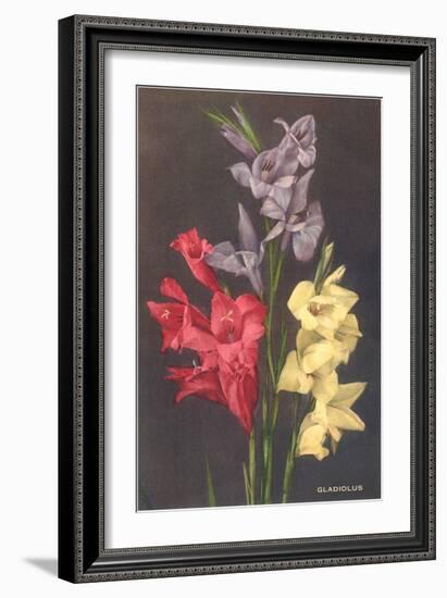 Gladiolus-null-Framed Art Print