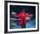 Gladys Knight-null-Framed Photo