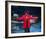 Gladys Knight-null-Framed Photo