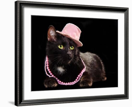 Glamorous Black Cat Wearing Pink Hat And Beads Against Black Background-vitalytitov-Framed Photographic Print