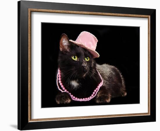 Glamorous Black Cat Wearing Pink Hat And Beads Against Black Background-vitalytitov-Framed Photographic Print