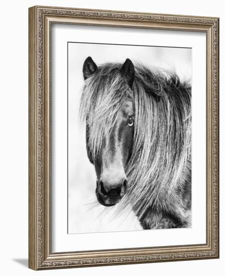 Glamorous Gaze-Wink Gaines-Framed Giclee Print