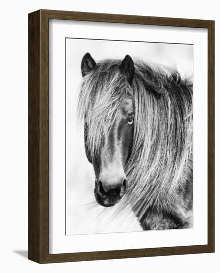 Glamorous Gaze-Wink Gaines-Framed Giclee Print