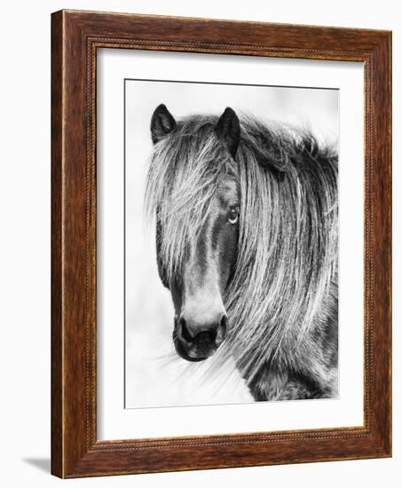 Glamorous Gaze-Wink Gaines-Framed Giclee Print