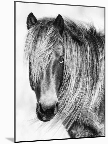 Glamorous Gaze-Wink Gaines-Mounted Giclee Print