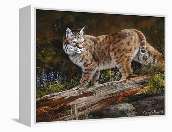 Glancing Back-Trevor V. Swanson-Framed Premier Image Canvas