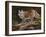 Glancing Back-Trevor V. Swanson-Framed Giclee Print