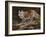 Glancing Back-Trevor V. Swanson-Framed Giclee Print