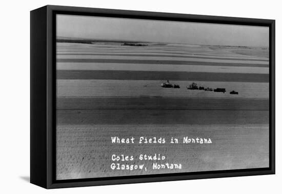 Glasgow, Montana - Wheat Fields-Lantern Press-Framed Stretched Canvas