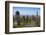 Glasgow Necropolis, Glasgow, Scotland, United Kingdom, Europe-John Guidi-Framed Photographic Print