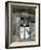 Glasgow School of Art, Designed by Charles Rennie Macintosh, Glasgow, Scotland-Adam Woolfitt-Framed Photographic Print