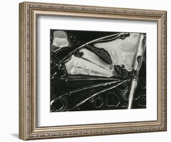 Glass, 1954-Brett Weston-Framed Photographic Print