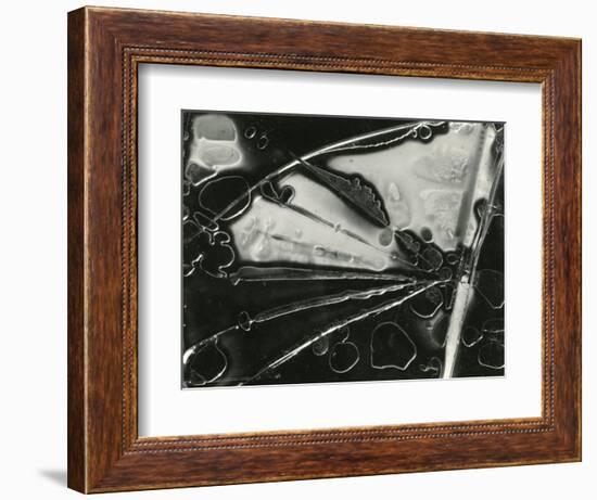 Glass, 1954-Brett Weston-Framed Photographic Print