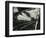 Glass, 1954-Brett Weston-Framed Photographic Print