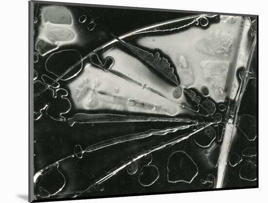 Glass, 1954-Brett Weston-Mounted Photographic Print