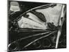 Glass, 1954-Brett Weston-Mounted Photographic Print