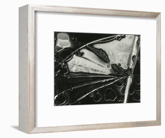 Glass, 1954-Brett Weston-Framed Photographic Print