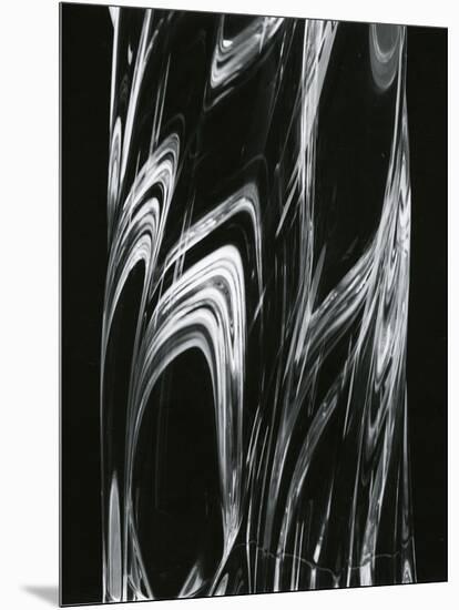 Glass, 1981-Brett Weston-Mounted Premium Photographic Print