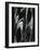 Glass, 1981-Brett Weston-Framed Photographic Print