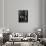 Glass, 1981-Brett Weston-Mounted Premium Photographic Print displayed on a wall