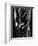 Glass, 1981-Brett Weston-Framed Photographic Print