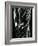 Glass, 1981-Brett Weston-Framed Photographic Print