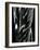 Glass, 1981-Brett Weston-Framed Photographic Print