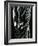 Glass, 1981-Brett Weston-Framed Photographic Print