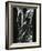 Glass, 1981-Brett Weston-Framed Photographic Print