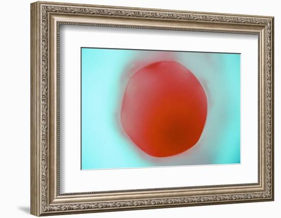Glass Abstract XVIII-Andy Bell-Framed Photographic Print