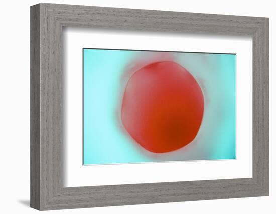 Glass Abstract XVIII-Andy Bell-Framed Photographic Print