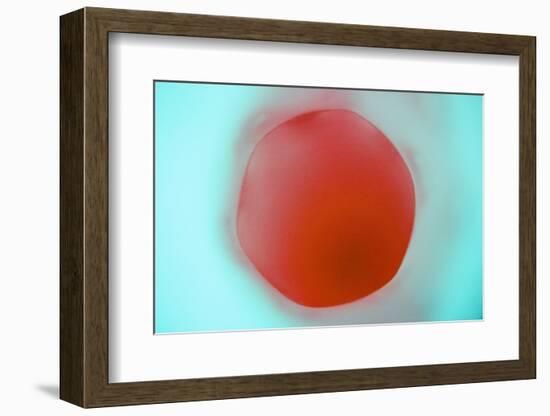 Glass Abstract XVIII-Andy Bell-Framed Photographic Print