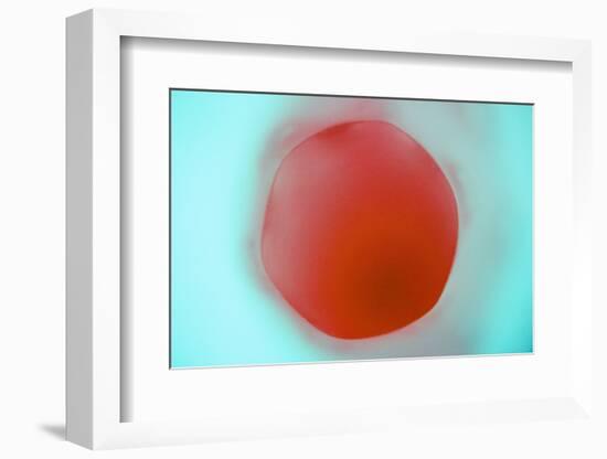 Glass Abstract XVIII-Andy Bell-Framed Photographic Print