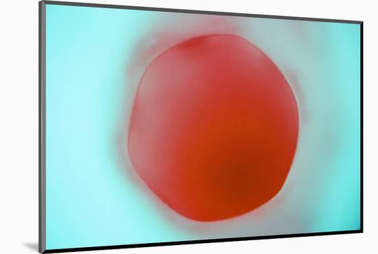 Glass Abstract XVIII-Andy Bell-Mounted Photographic Print