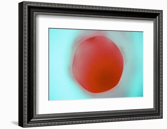 Glass Abstract XVIII-Andy Bell-Framed Photographic Print