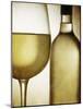 Glass and Bottle of White Wine-Steve Lupton-Mounted Photographic Print